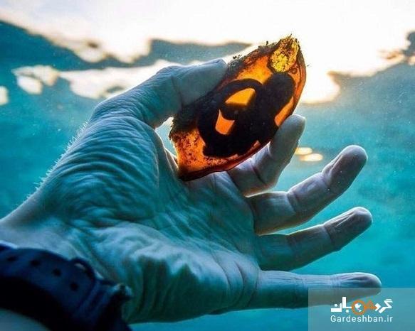 عجیب ترین پدیده ها در طبیعت که تا به امروز ندیده اید!