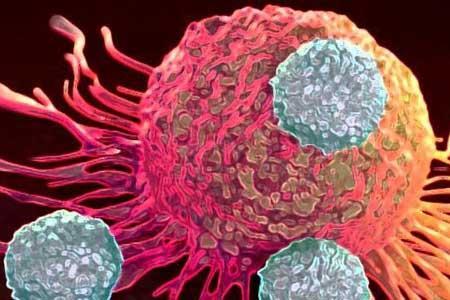 نقش محافظتی کلاژن در سرطان پانکراس
