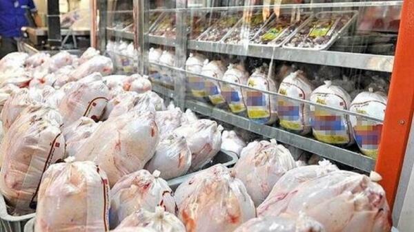 ادامه توزیع مرغ منجمد بدون محدودیت زمانی در استان قزوین