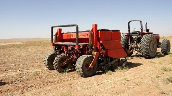 افزایش کشت مستقیم غلات در اراضی کشاورزی قزوین